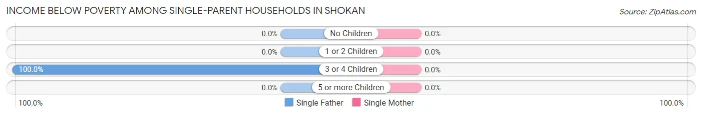 Income Below Poverty Among Single-Parent Households in Shokan
