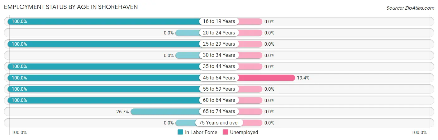 Employment Status by Age in Shorehaven