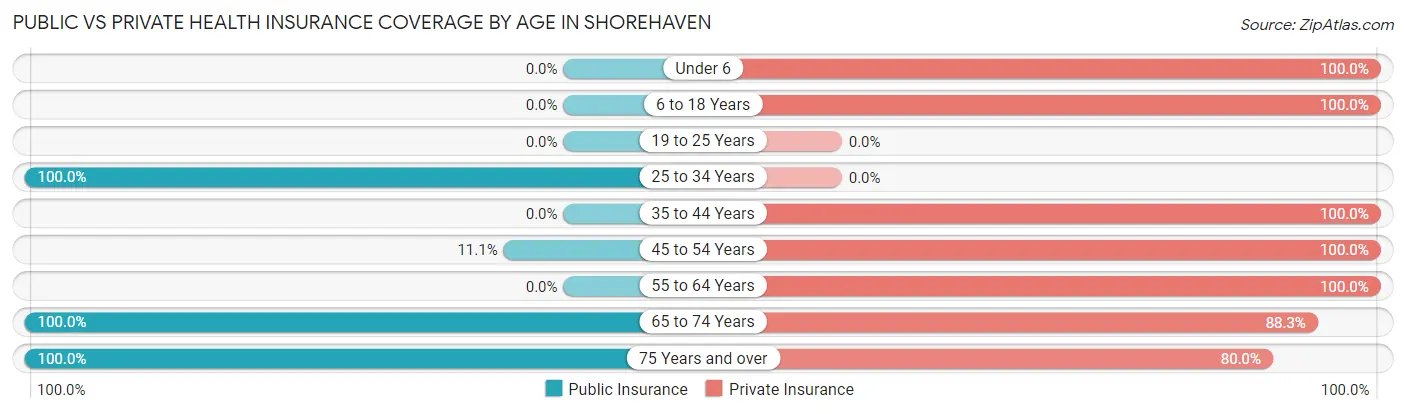 Public vs Private Health Insurance Coverage by Age in Shorehaven