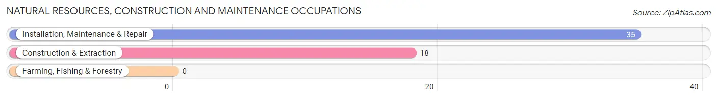 Natural Resources, Construction and Maintenance Occupations in Shortsville