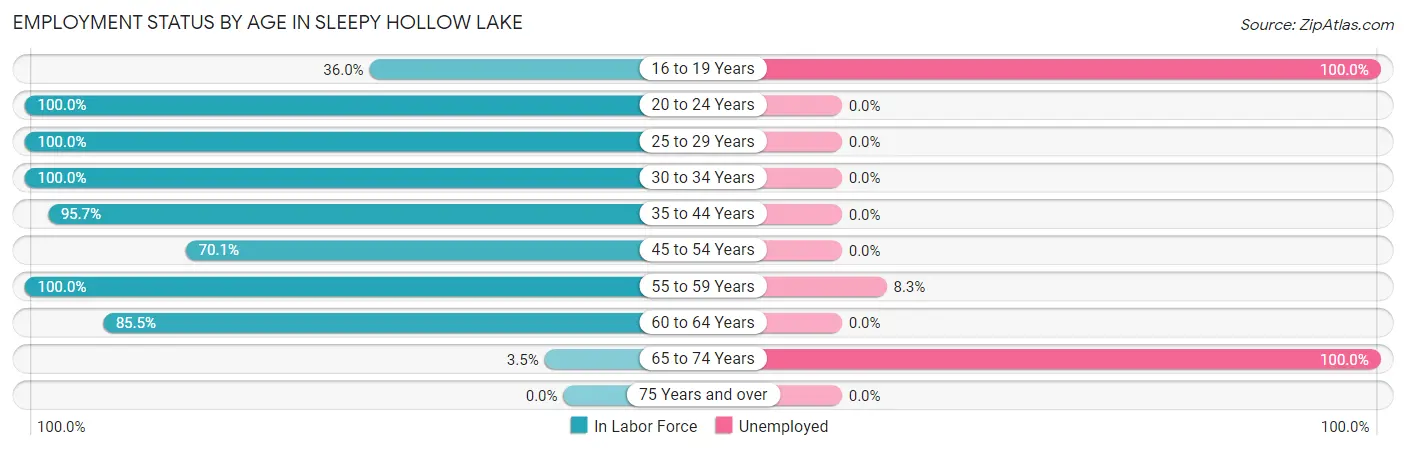 Employment Status by Age in Sleepy Hollow Lake