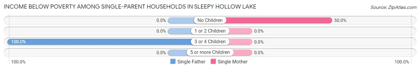 Income Below Poverty Among Single-Parent Households in Sleepy Hollow Lake
