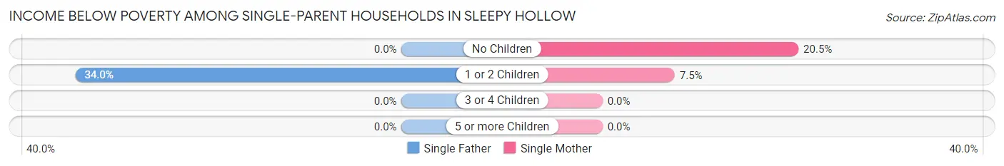Income Below Poverty Among Single-Parent Households in Sleepy Hollow
