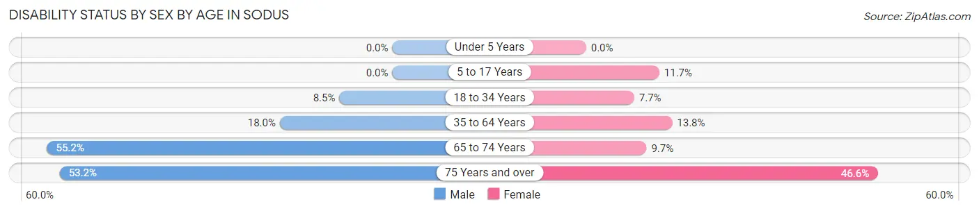 Disability Status by Sex by Age in Sodus