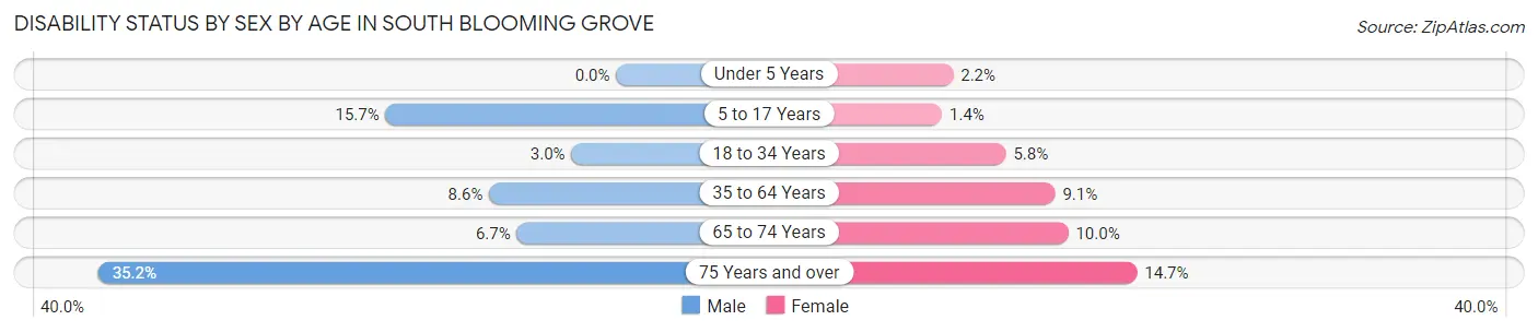 Disability Status by Sex by Age in South Blooming Grove