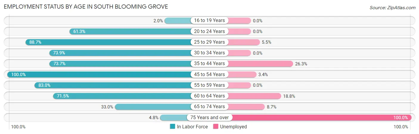 Employment Status by Age in South Blooming Grove