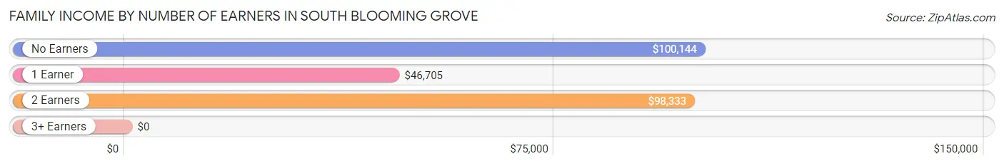 Family Income by Number of Earners in South Blooming Grove