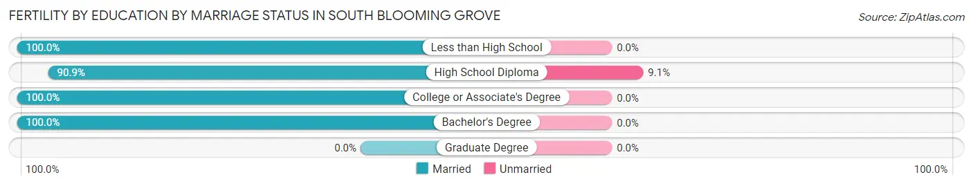 Female Fertility by Education by Marriage Status in South Blooming Grove