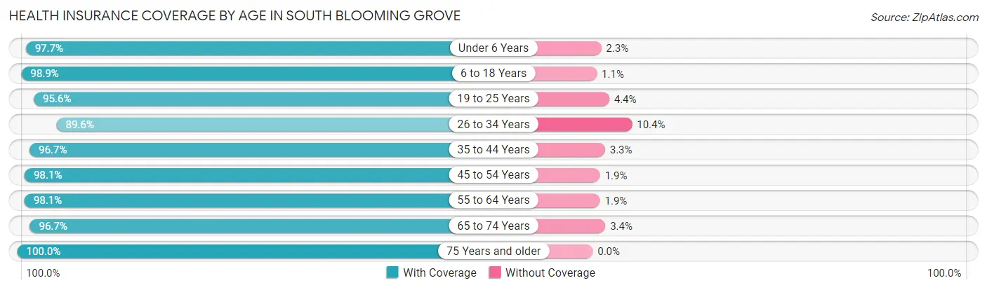 Health Insurance Coverage by Age in South Blooming Grove