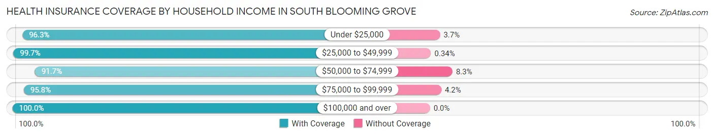 Health Insurance Coverage by Household Income in South Blooming Grove