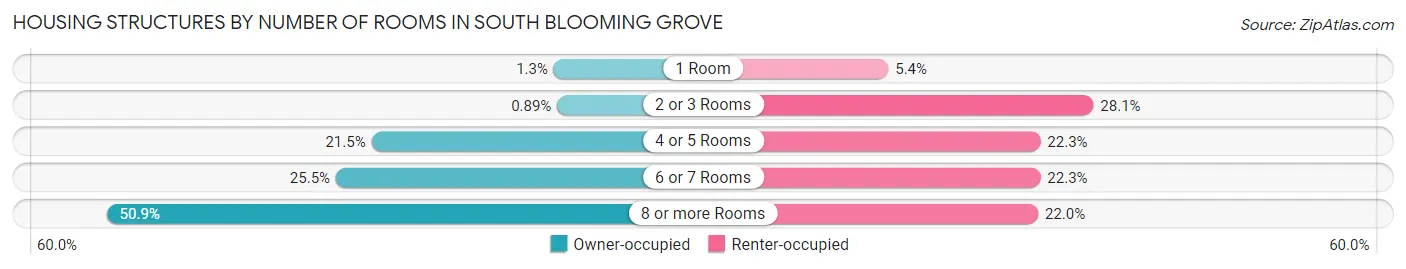 Housing Structures by Number of Rooms in South Blooming Grove