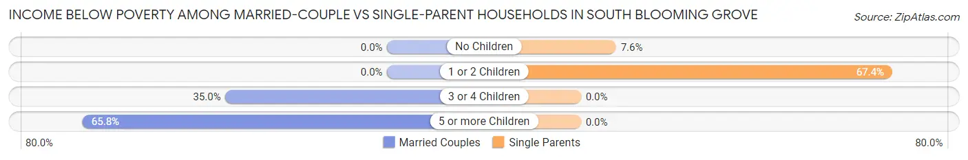 Income Below Poverty Among Married-Couple vs Single-Parent Households in South Blooming Grove