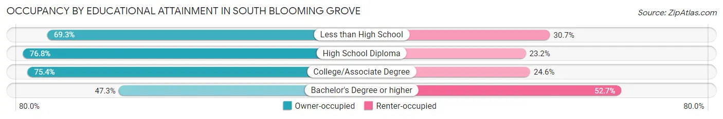 Occupancy by Educational Attainment in South Blooming Grove