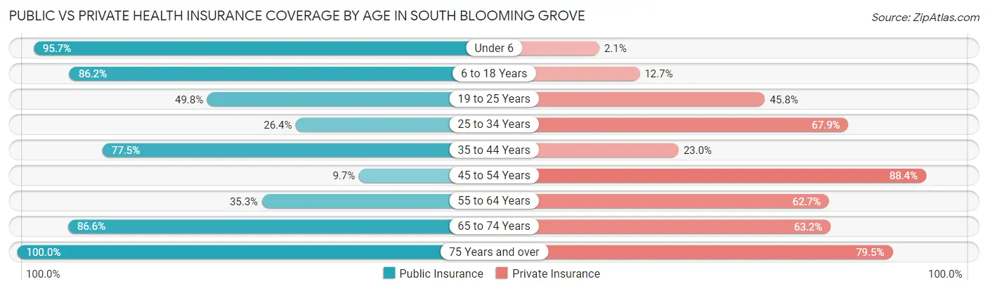 Public vs Private Health Insurance Coverage by Age in South Blooming Grove