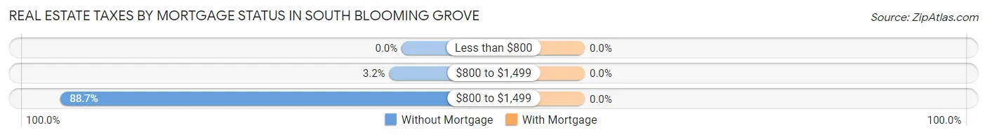 Real Estate Taxes by Mortgage Status in South Blooming Grove