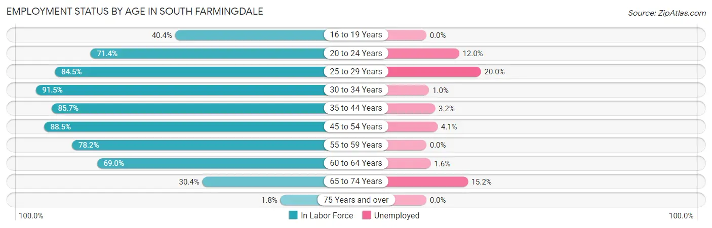 Employment Status by Age in South Farmingdale