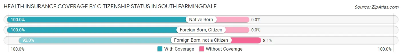 Health Insurance Coverage by Citizenship Status in South Farmingdale