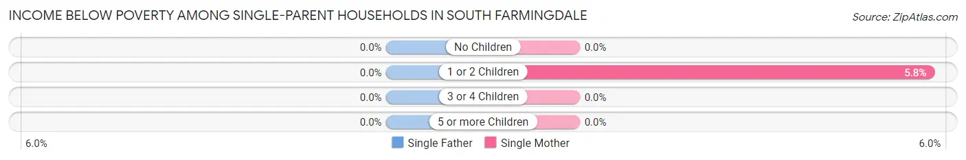 Income Below Poverty Among Single-Parent Households in South Farmingdale