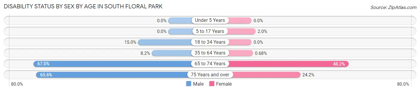 Disability Status by Sex by Age in South Floral Park