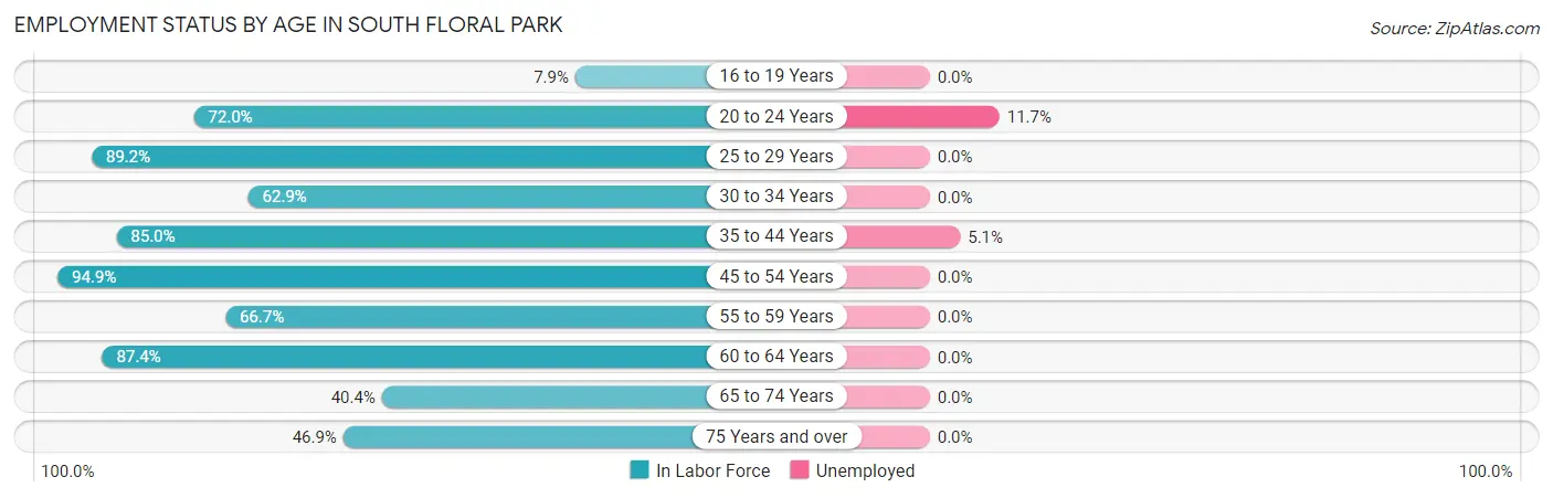Employment Status by Age in South Floral Park