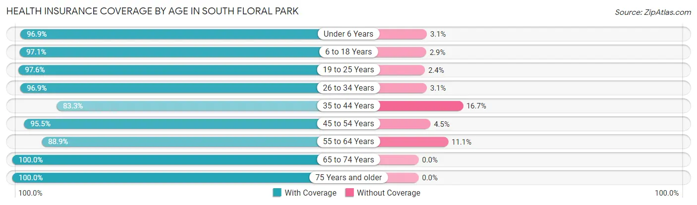 Health Insurance Coverage by Age in South Floral Park