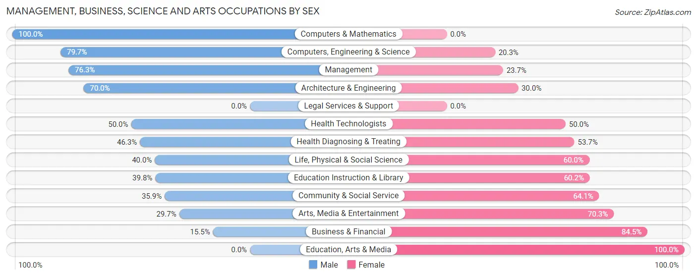 Management, Business, Science and Arts Occupations by Sex in South Glens Falls