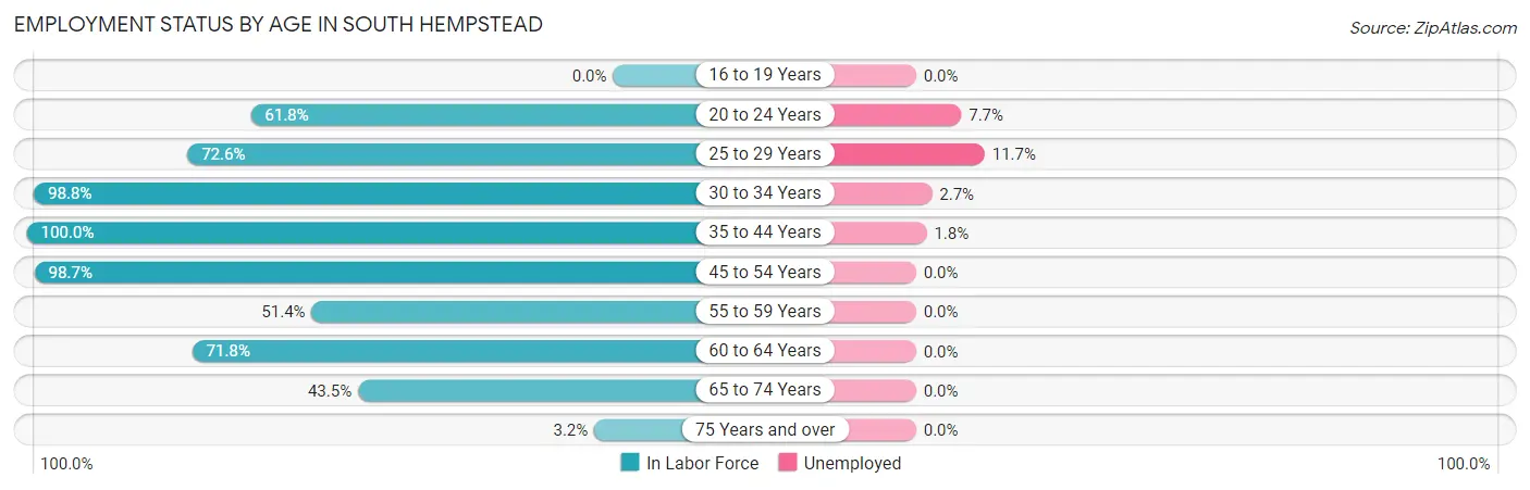Employment Status by Age in South Hempstead