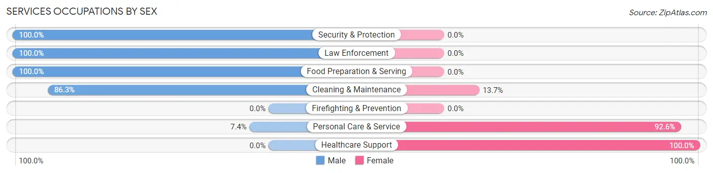 Services Occupations by Sex in South Hempstead