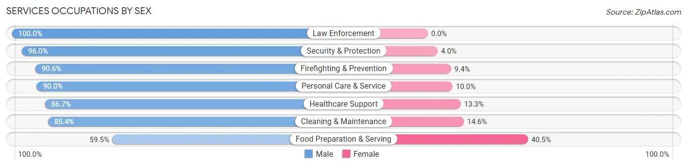 Services Occupations by Sex in South Huntington