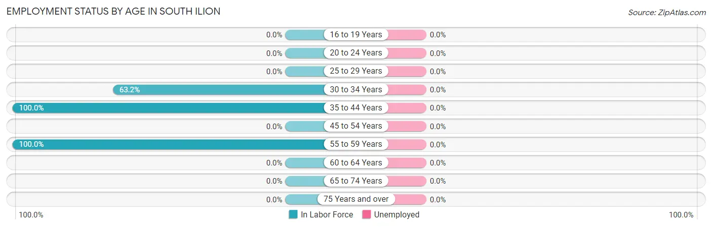 Employment Status by Age in South Ilion