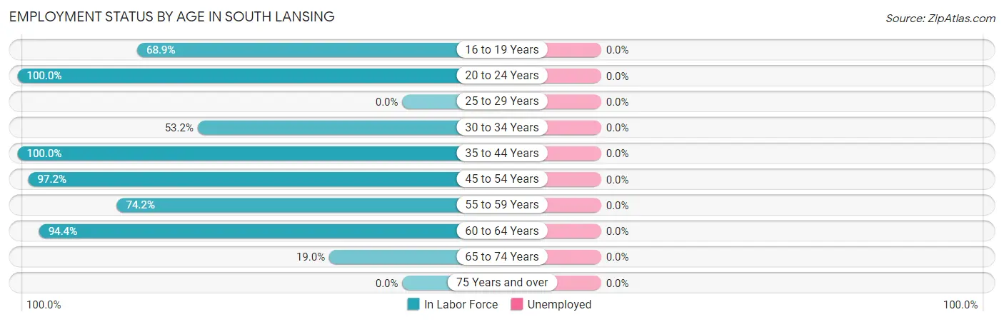 Employment Status by Age in South Lansing