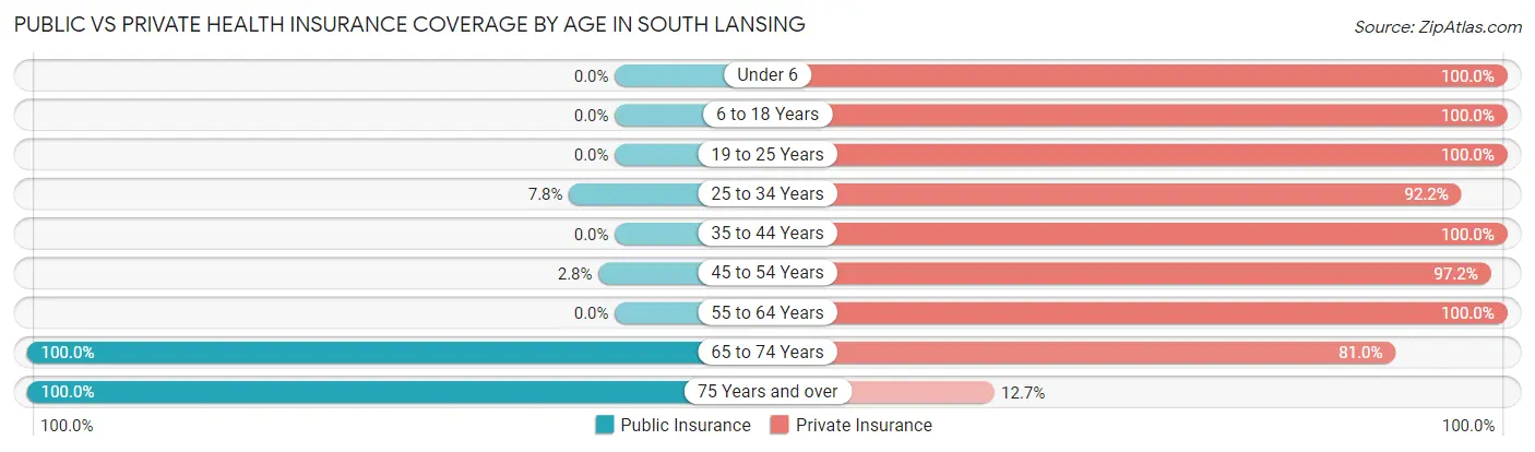 Public vs Private Health Insurance Coverage by Age in South Lansing