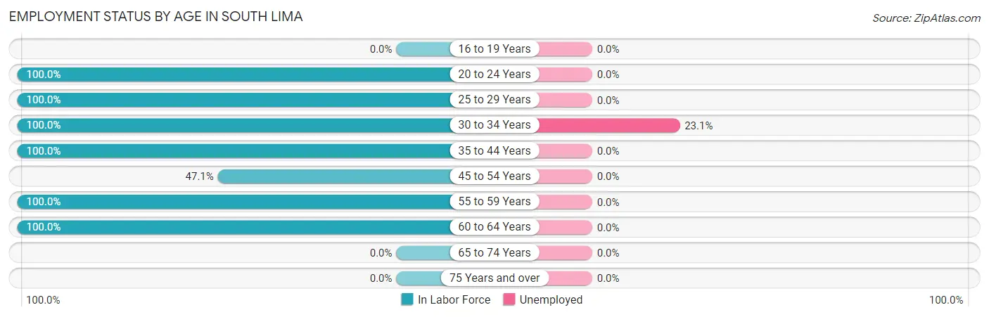 Employment Status by Age in South Lima