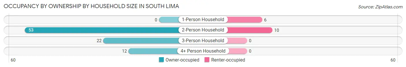 Occupancy by Ownership by Household Size in South Lima