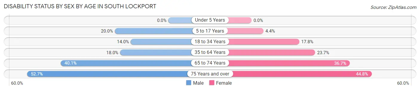 Disability Status by Sex by Age in South Lockport
