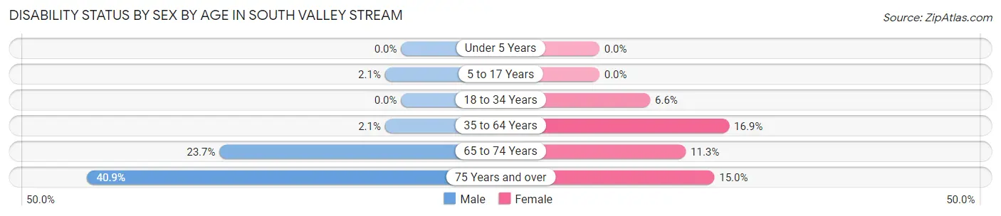 Disability Status by Sex by Age in South Valley Stream