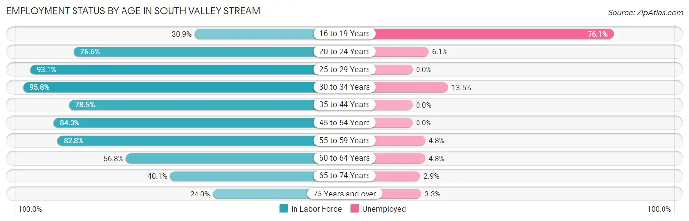 Employment Status by Age in South Valley Stream