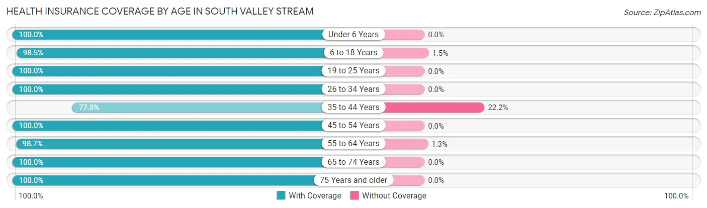 Health Insurance Coverage by Age in South Valley Stream