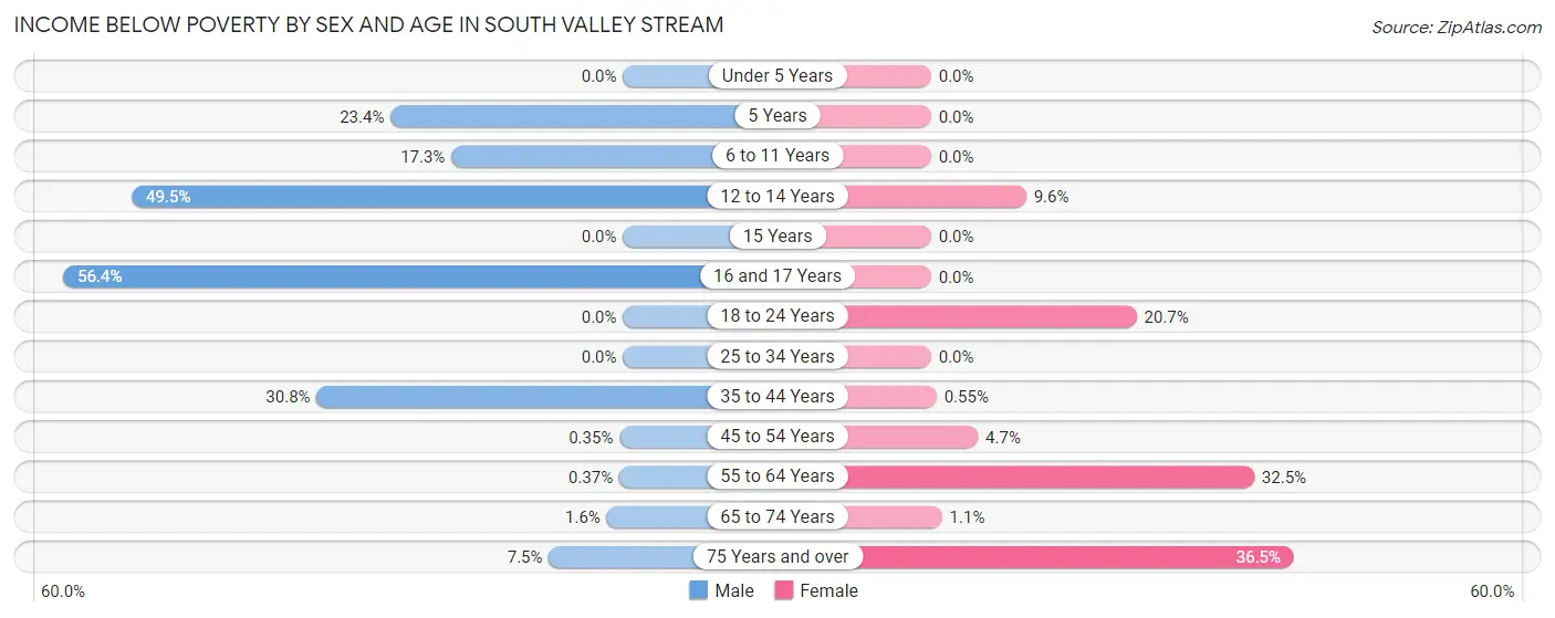 Income Below Poverty by Sex and Age in South Valley Stream