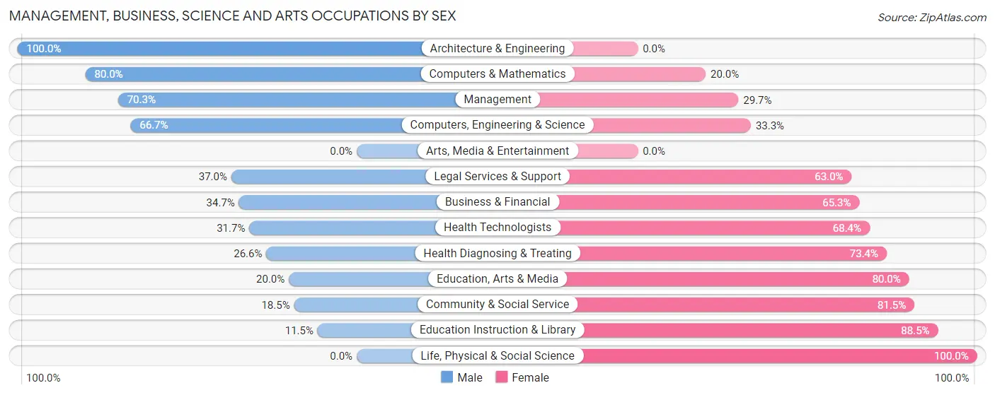 Management, Business, Science and Arts Occupations by Sex in South Valley Stream