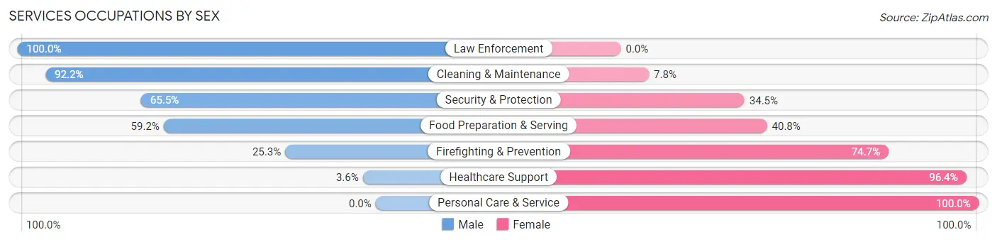Services Occupations by Sex in South Valley Stream