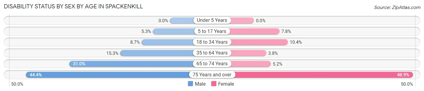 Disability Status by Sex by Age in Spackenkill