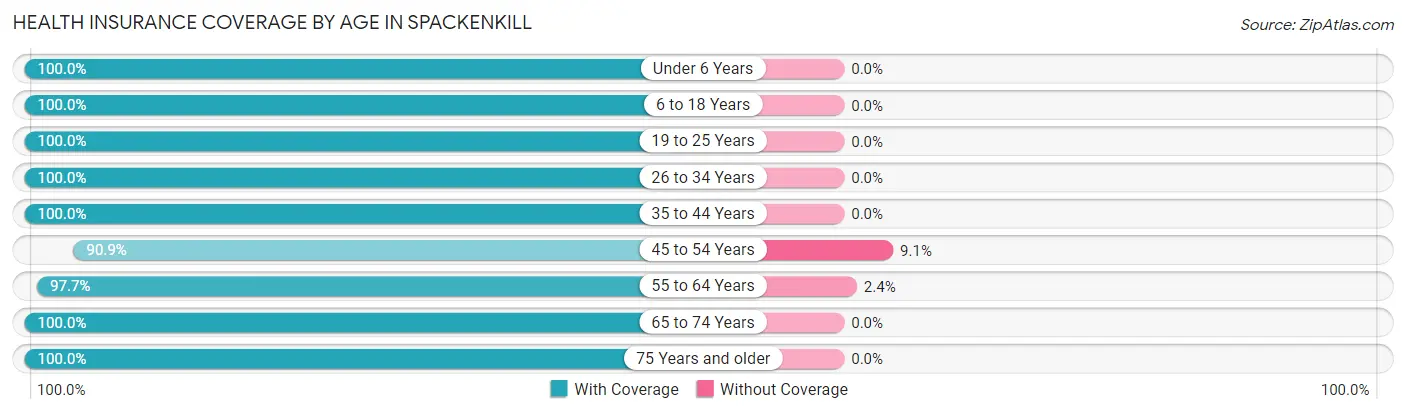 Health Insurance Coverage by Age in Spackenkill