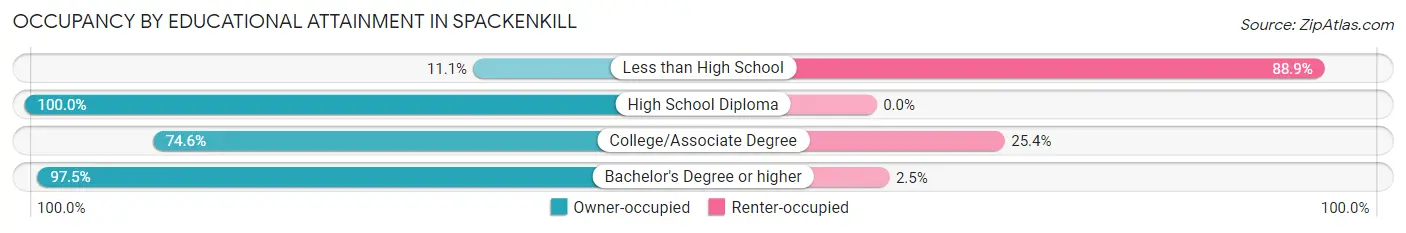 Occupancy by Educational Attainment in Spackenkill