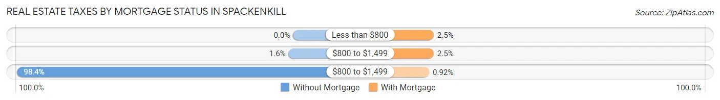 Real Estate Taxes by Mortgage Status in Spackenkill