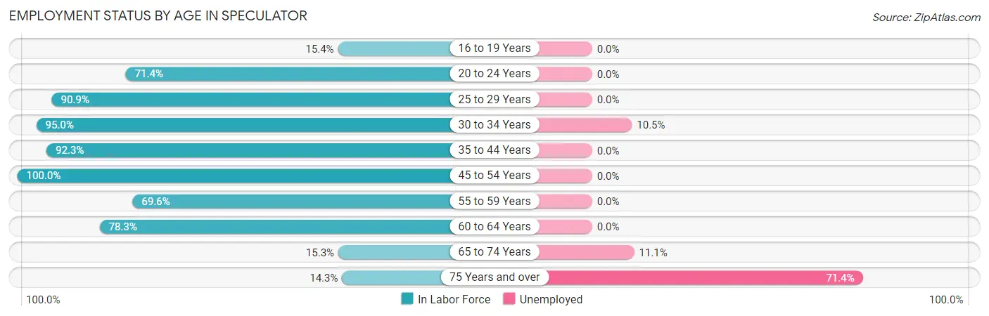 Employment Status by Age in Speculator