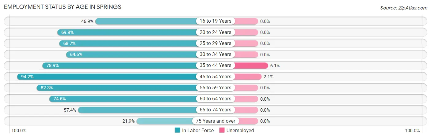 Employment Status by Age in Springs