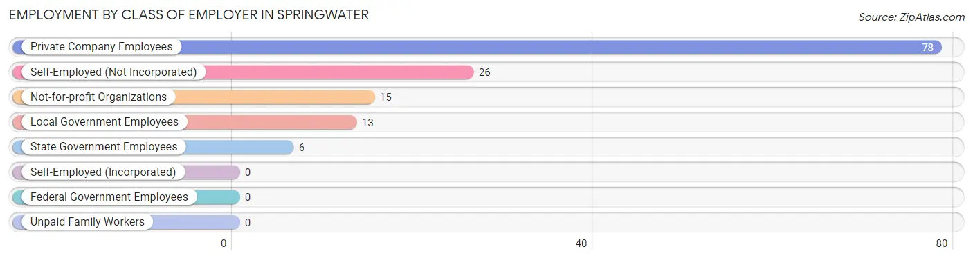 Employment by Class of Employer in Springwater