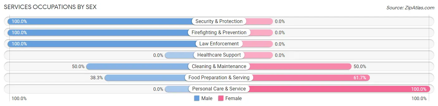 Services Occupations by Sex in Stamford