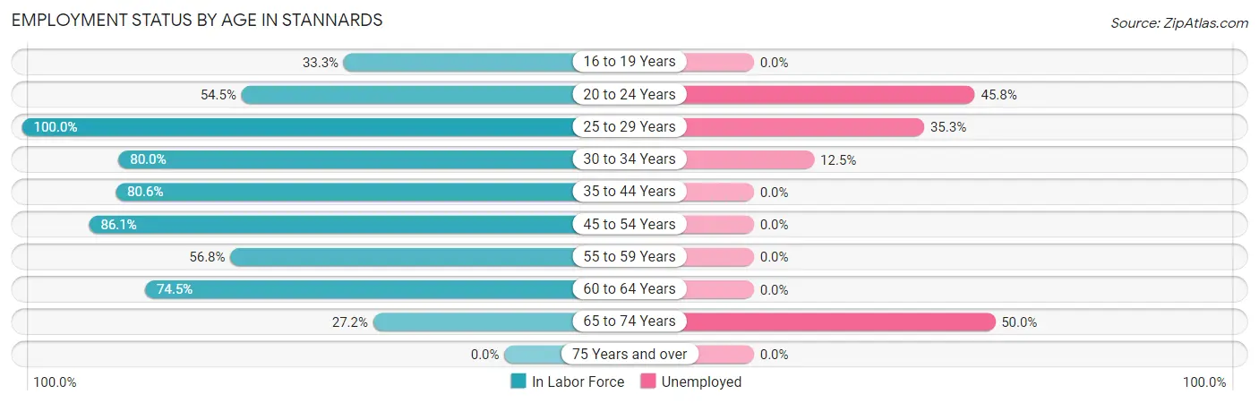 Employment Status by Age in Stannards